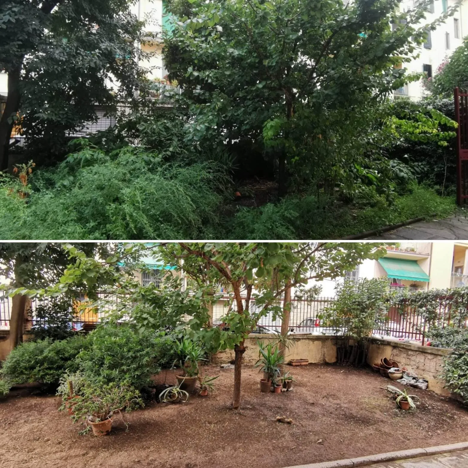 Giardiniere professionista impegnato nella manutenzione del giardino in una proprietà a Firenze