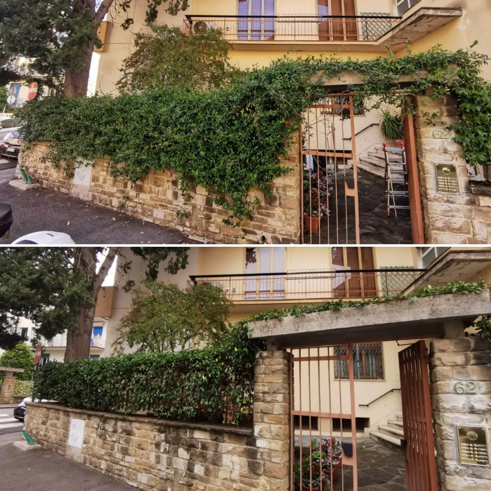 Condominium hedge maintenance in Florence