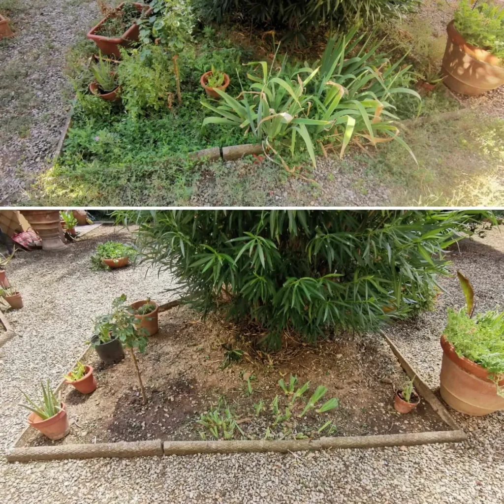 Giardino curato con ghiaia e aiuole in una casa a Grassina