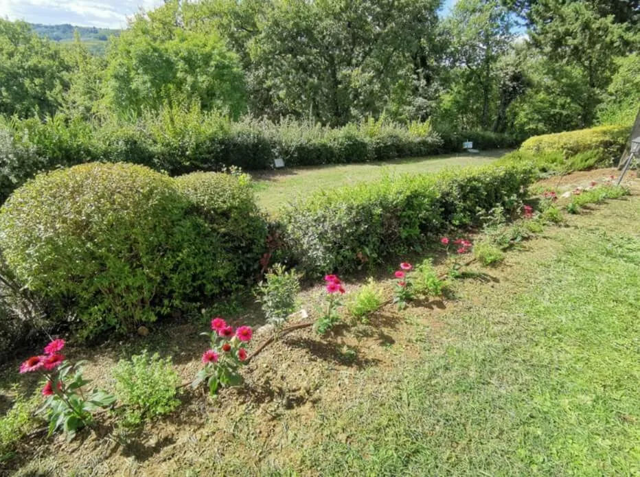 Potatura delle siepi e sistemazione aiuola in un giardino privato a Firenze