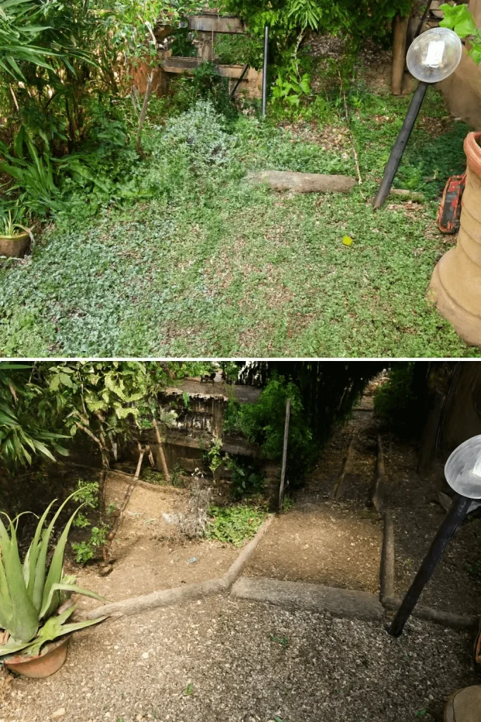 Pulizia del giardino con rimozione foglie e sistemazione aree verdi a Firenze