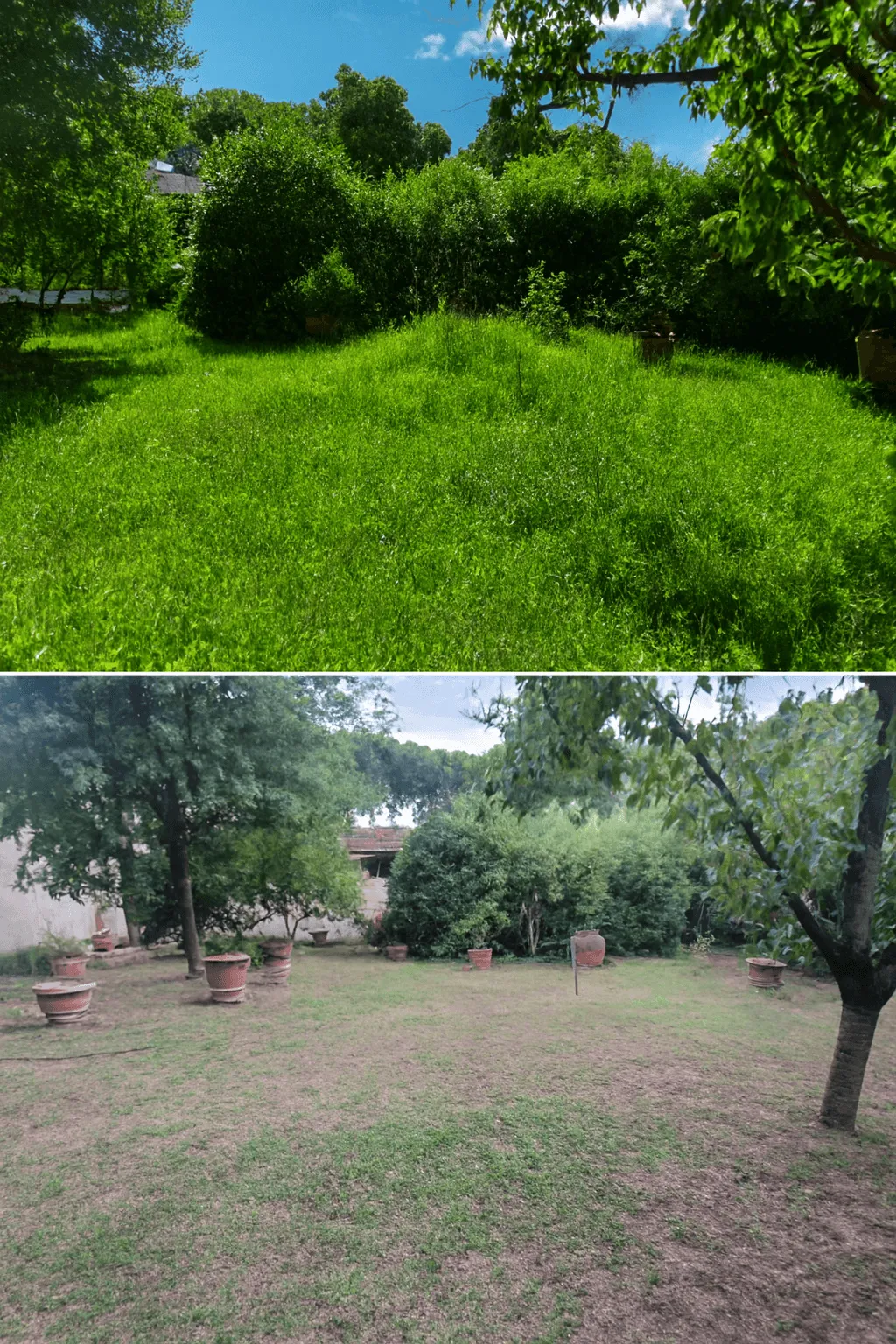 Manutenzione del giardino a Firenze con cura di prato, siepi e aiuole
