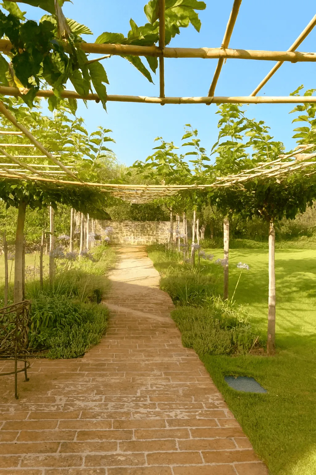 Manutenzione giardino in una casa privata a Bagno a Ripoli